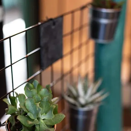Apartment Maree Haute - Refresh In A Full Center - Netflix - Wifi - *